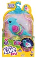 Little Live Pets. Ćwierkająco-mówiący niebieski ptaszek Dzwoneczek (2).jpg