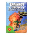Gra karciana Brainrot Zadyma (7).jpg