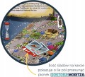 Gra planszowa Spy Guy (9).jpg