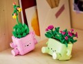 LEGO Botanicals 11506 Bujające się roślinki (2).jpg