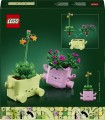 LEGO Botanicals 11506 Bujające się roślinki (6).jpg