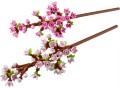 LEGO Botanicals 40725 Kwiaty wiśni (1).JPG