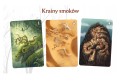 Gra karciana Smoki Nasza Księgarnia (4).jpg