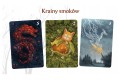 Gra karciana Smoki Nasza Księgarnia (8).jpg