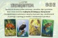 Gra karciana Ekosystem Nasza Księgarnia (1).jpg