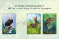 Gra karciana Ekosystem Nasza Księgarnia (4).jpg