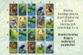 Gra karciana Ekosystem Nasza Księgarnia (6).jpg