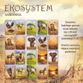 Gra karciana Ekosystem 3 Sawanna Nasza Księgarnia (2).jpg