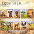 Gra karciana Ekosystem 3 Sawanna Nasza Księgarnia (3).jpg