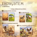Gra karciana Ekosystem 3 Sawanna Nasza Księgarnia (4).jpg