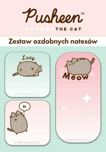 Zestaw 3 notesów ozdobnych kot Pusheen.jpg