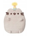 Maskotka kot Pusheen party 13 cm  (2).JPG