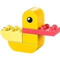 LEGO Duplo 30673 Moja pierwsza kaczuszka (2).jpg