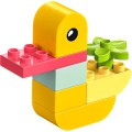 LEGO Duplo 30673 Moja pierwsza kaczuszka (4).jpg
