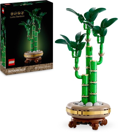LEGO Botanicals 10344 Dracena sandera (1).jpg