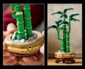 LEGO Botanicals 10344 Dracena sandera (3).jpg