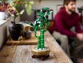 LEGO Botanicals 10344 Dracena sandera (4).jpg
