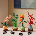 LEGO Botanicals 10344 Dracena sandera (7).jpg