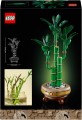 LEGO Botanicals 10344 Dracena sandera (8).jpg