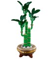 LEGO Botanicals 10344 Dracena sandera (10).jpg