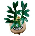 LEGO Botanicals 10344 Dracena sandera (11).jpg