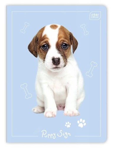 Zeszyt A5 Puppy 32k. kratka (3).jpg
