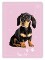 Zeszyt A5 Puppy 32k. kratka (4).jpg